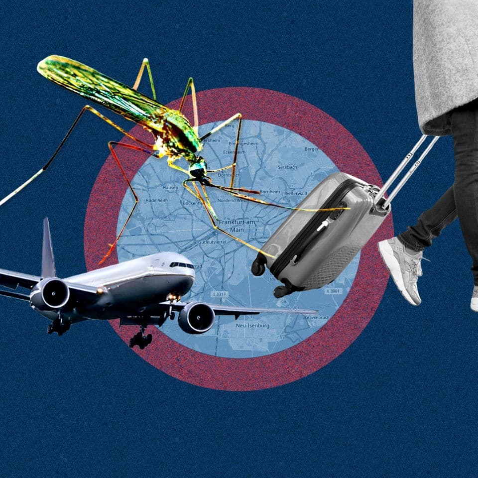 Malaria Cases Near Frankfurt Airport
