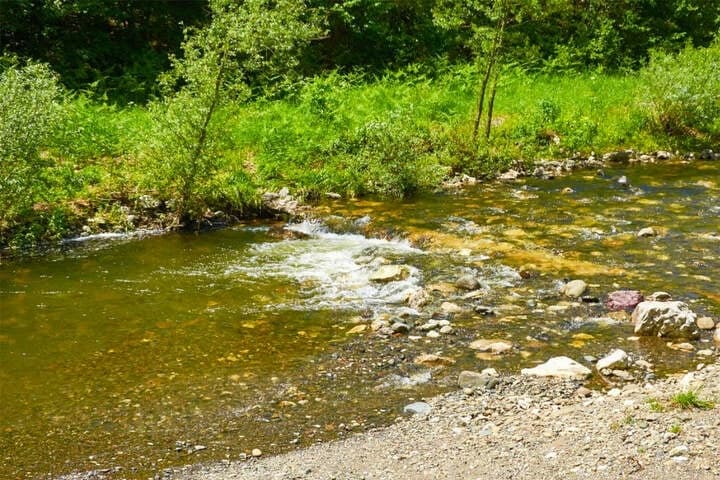 Woman's body discovered in German water channel