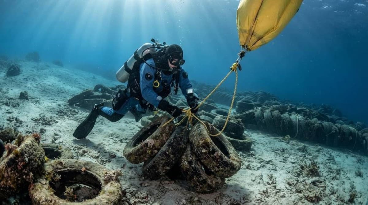 Two million tires submerged for 50 years