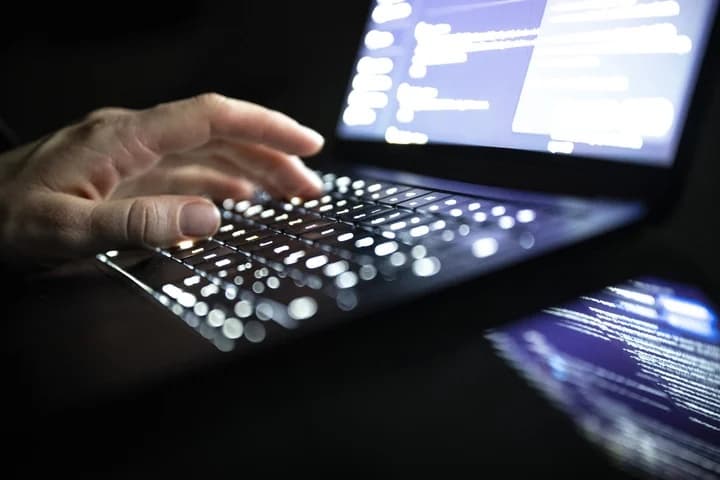 ألماني يحقق في شبكة جرائم إلكترونية