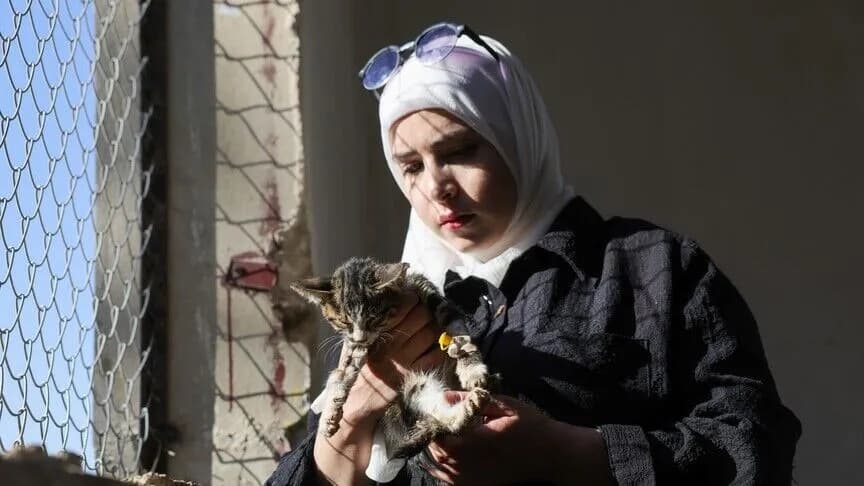 شاب تعدل حياة قطة برعاية 350 حيوانا في حمص