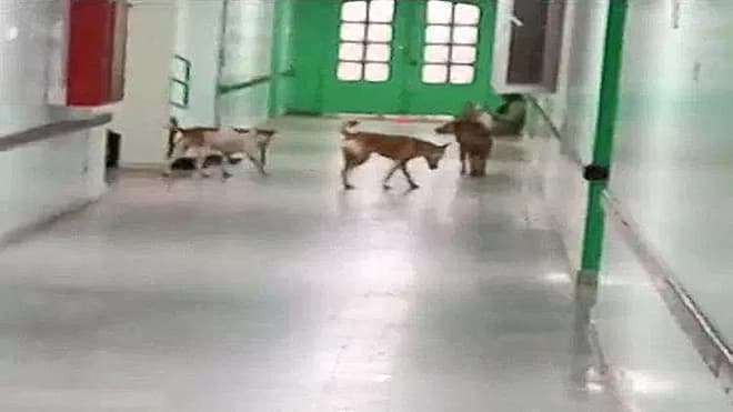 إعلام أبين يكشف حقيقة فيديو المستشفى