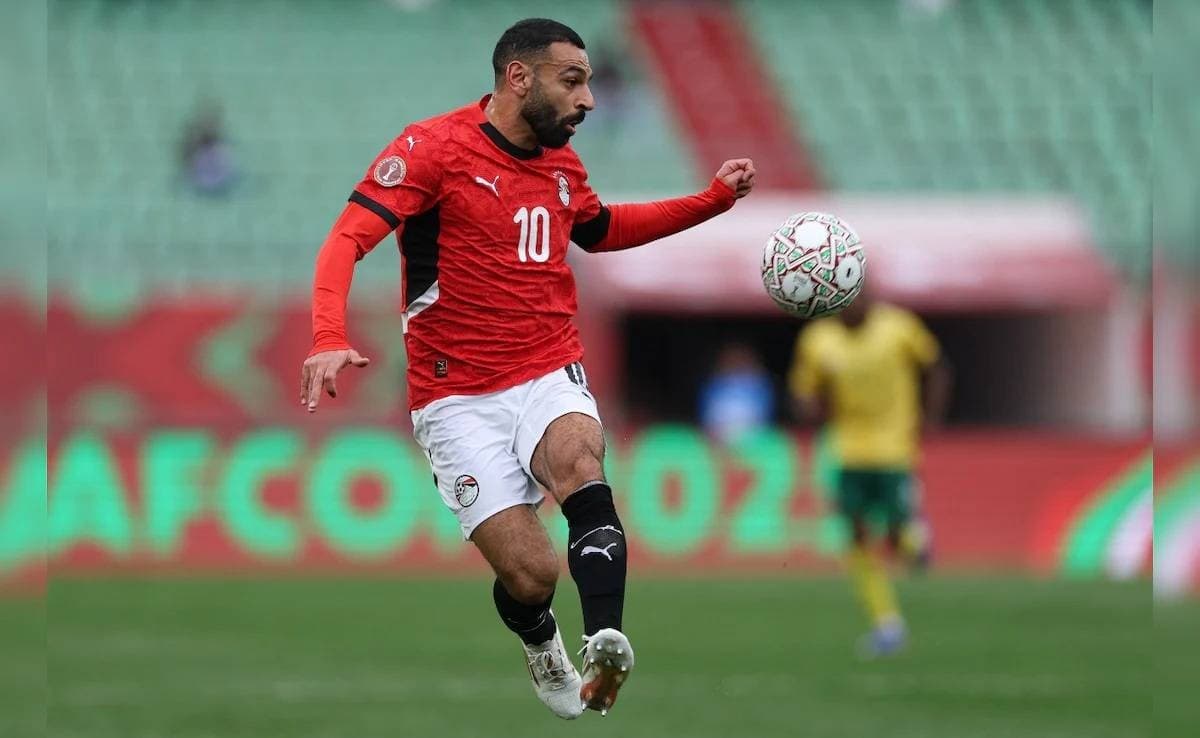 مدرب بلجيكا: مصر ومحمد صلاح واضحان