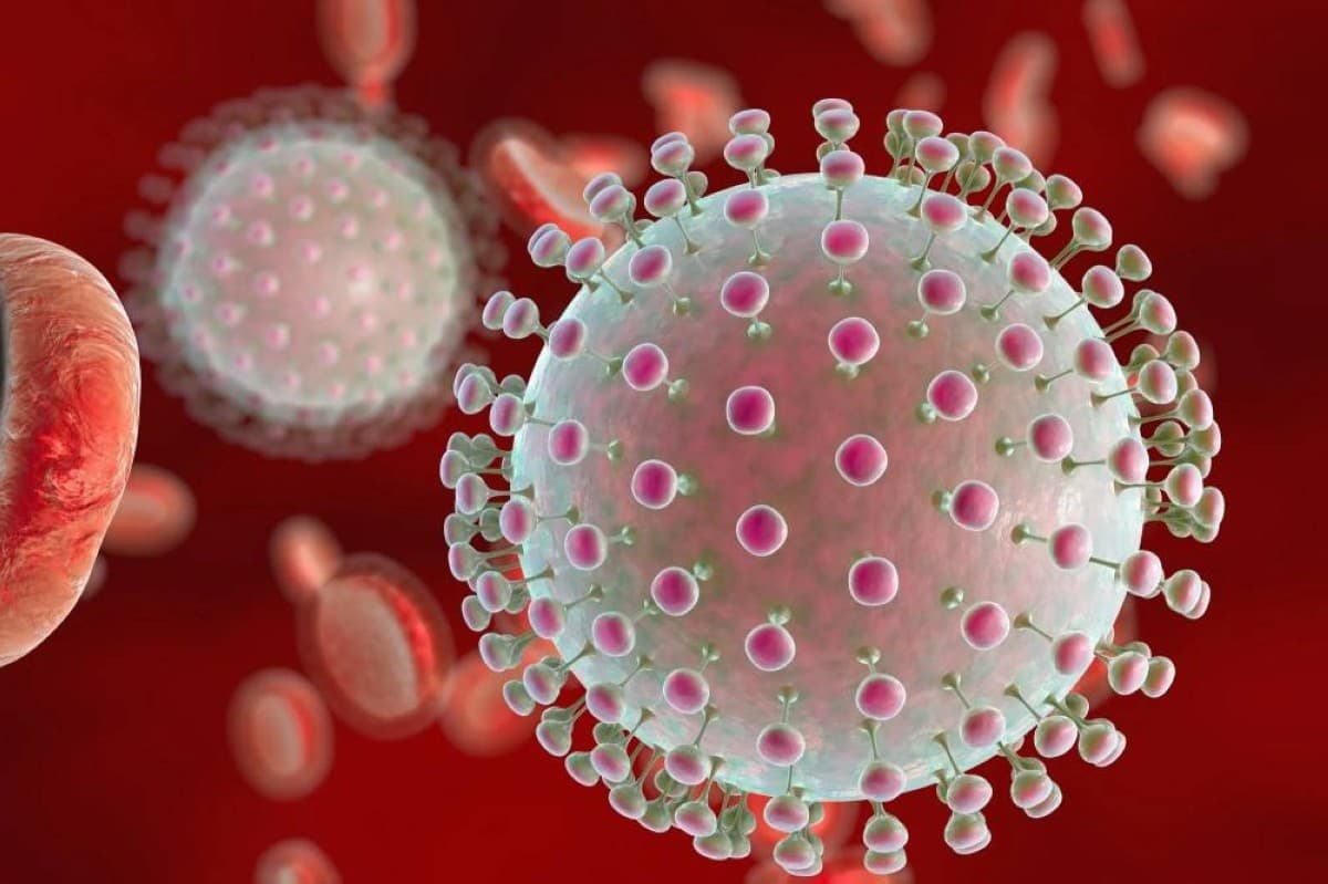 2026 World Cup virus threat