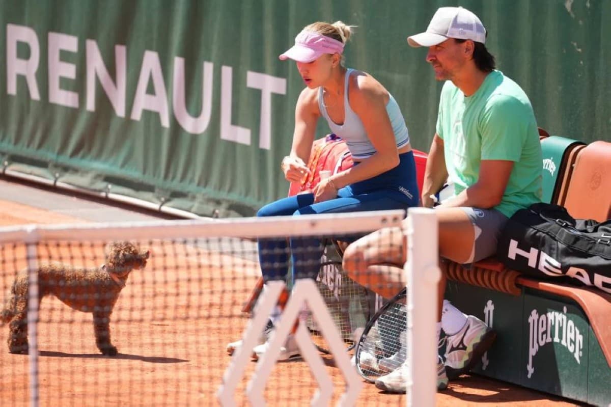 Star dogs captivate Roland Garros