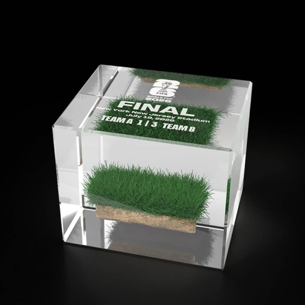 FIFA يعرض عشب ملعب نهائي كأس العالم للبيع
