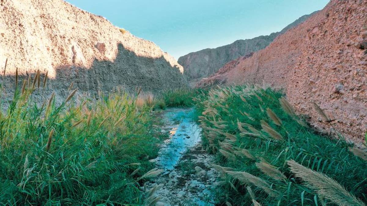 Fujairah Monitors Wadi Al Urai'a UNESCO Status