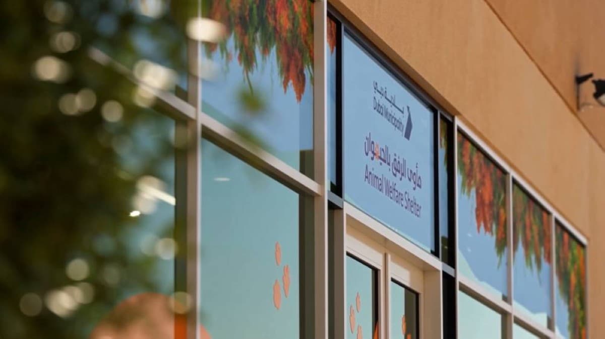 Dubai Municipality launches pet shelter in Warsan