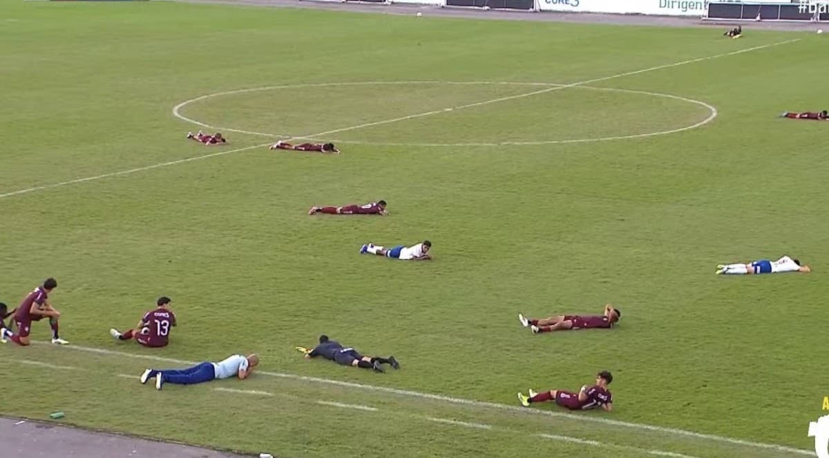 مباراة في البرازيل تتوقف بسبب النحل