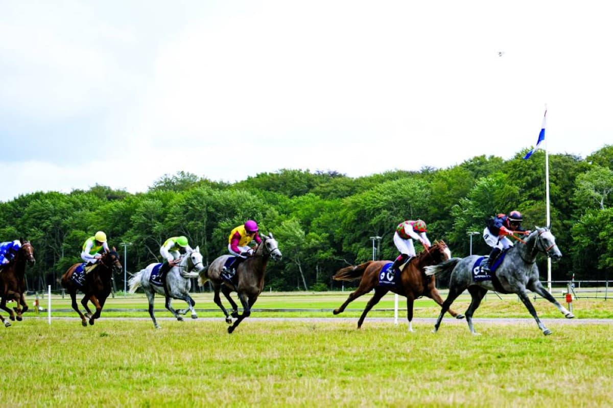Jo Star wins Dutch Arabian Cup