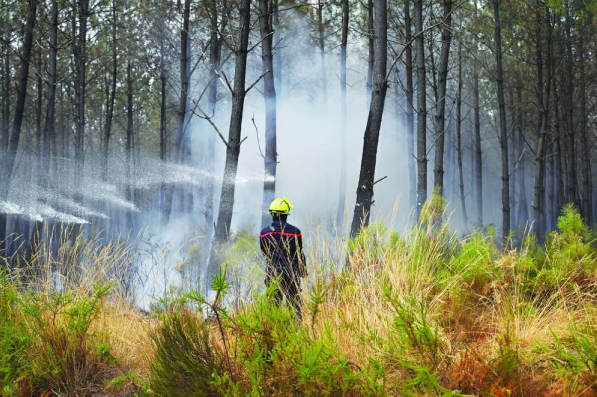 Europe assists France and Spain in wildfire efforts