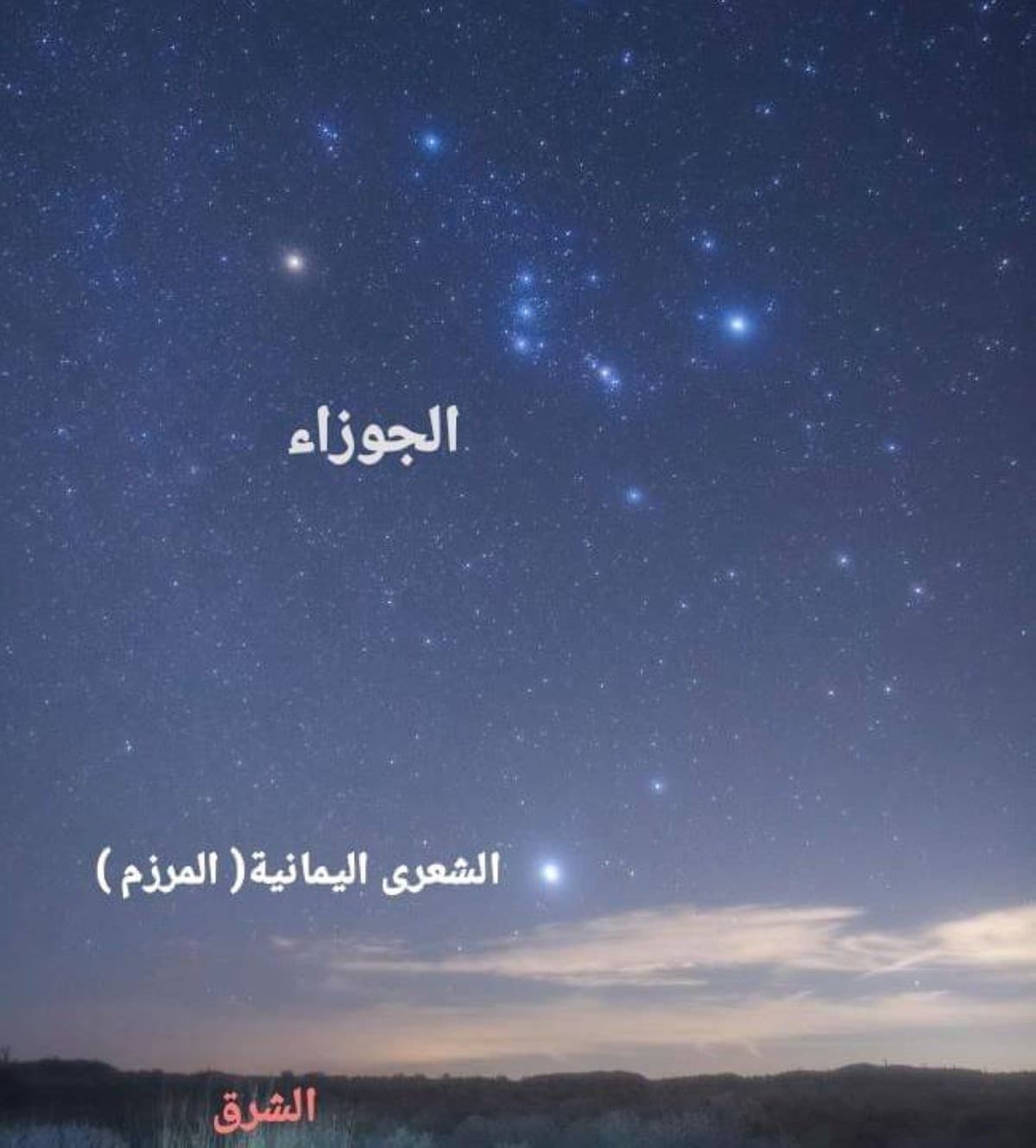 Emirates skies see rise of Al-Murzam