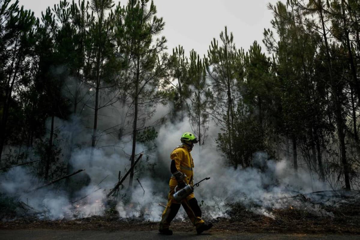 168 suspects linked to France fires