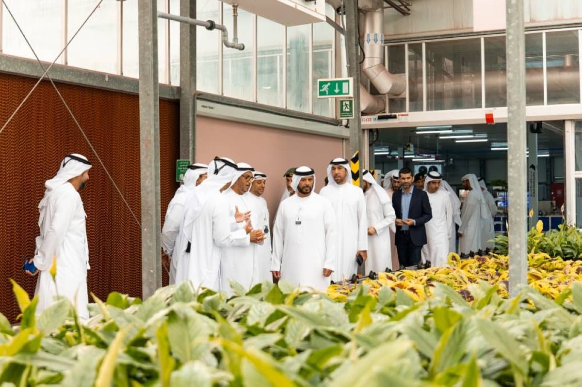Dubai introduces Fareej Farmer for home gardening
