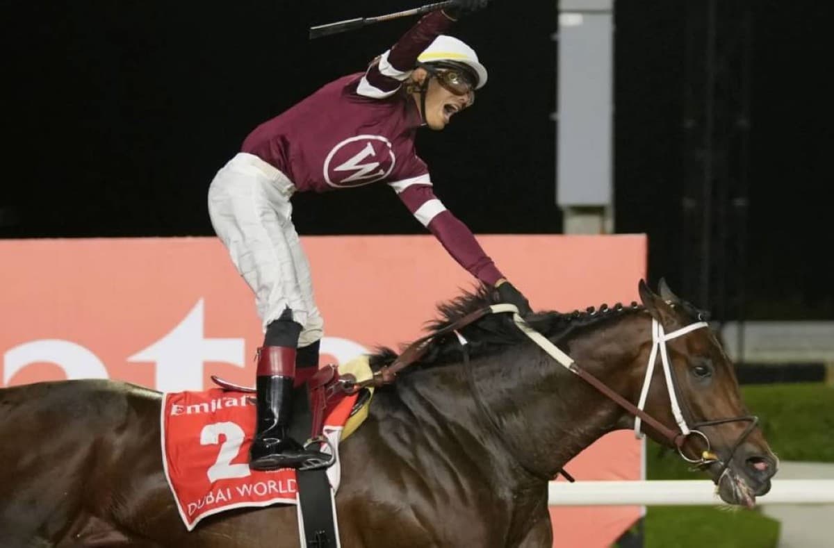 Eight horses vying for Whitney Stakes