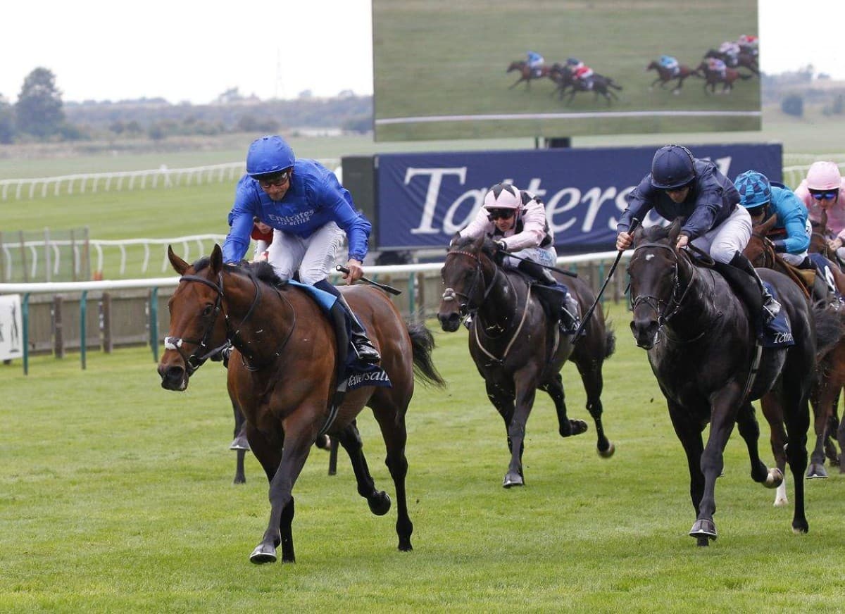 Godolphin's Wise Approach targets Maurice de Gheest