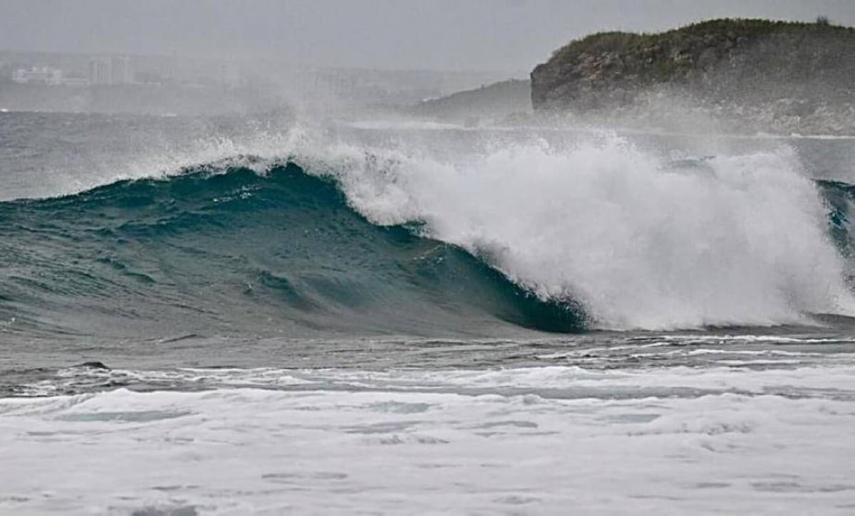 China issues top alert for Hurricane Dolphin
