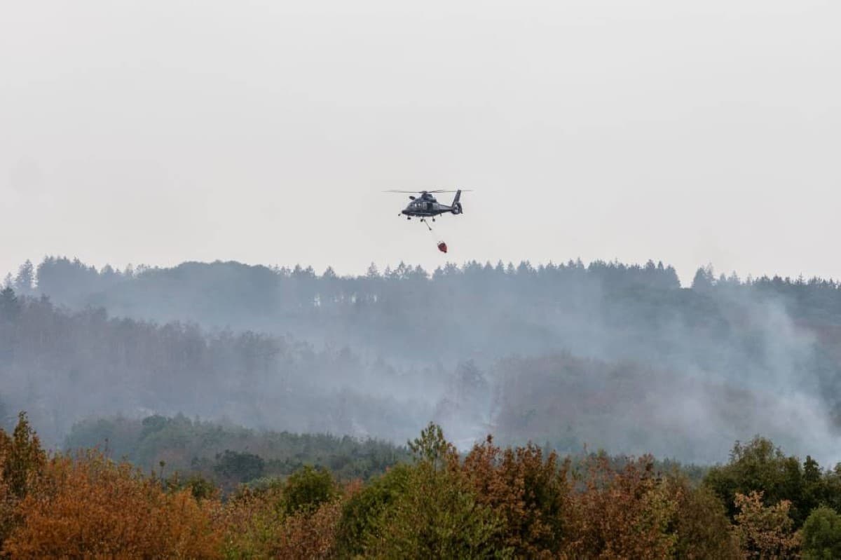 Germany forest fire leaves thousands displaced