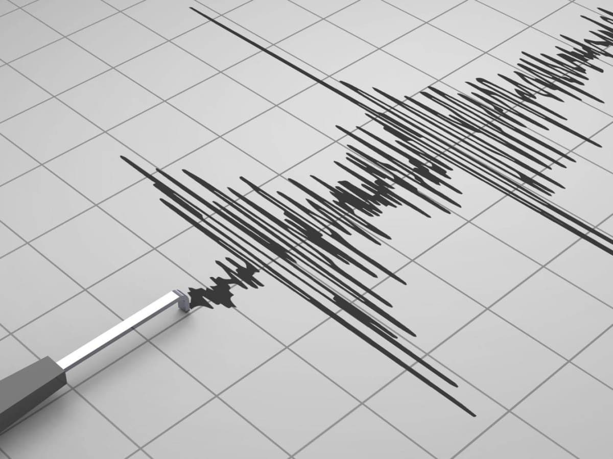 Indonesia earthquake death toll reaches 47