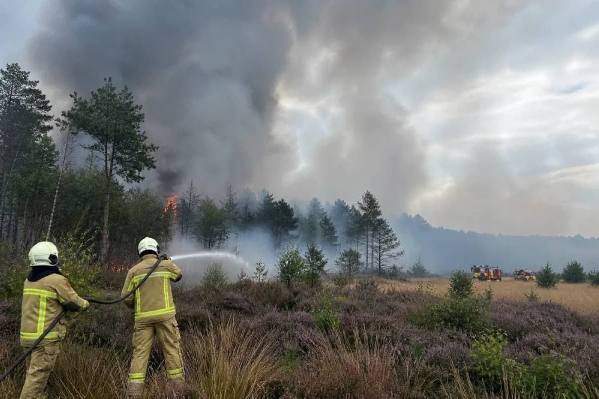 Belgium faces major wildfire affects 3000 hectares