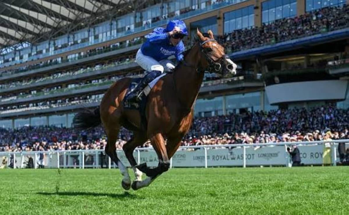 Ambossman retains Goodmont International title in York