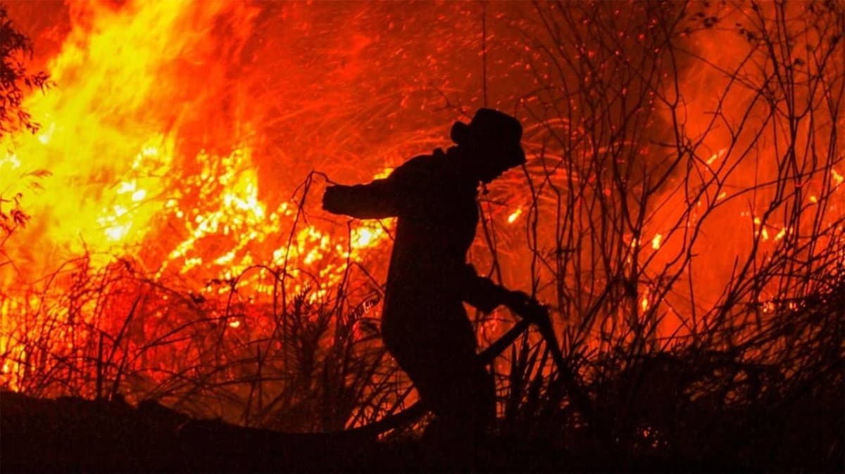Indonesia forest fires burn 235K acres