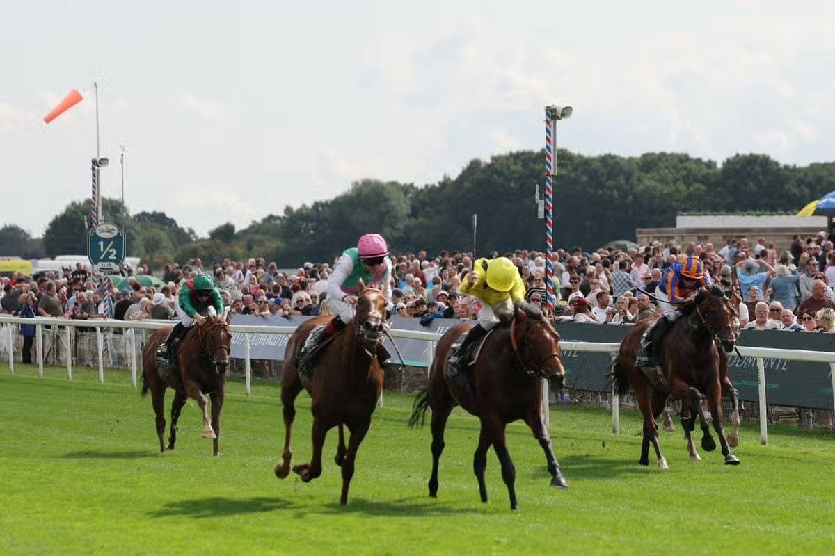 Majestic remains undefeated at Godmont