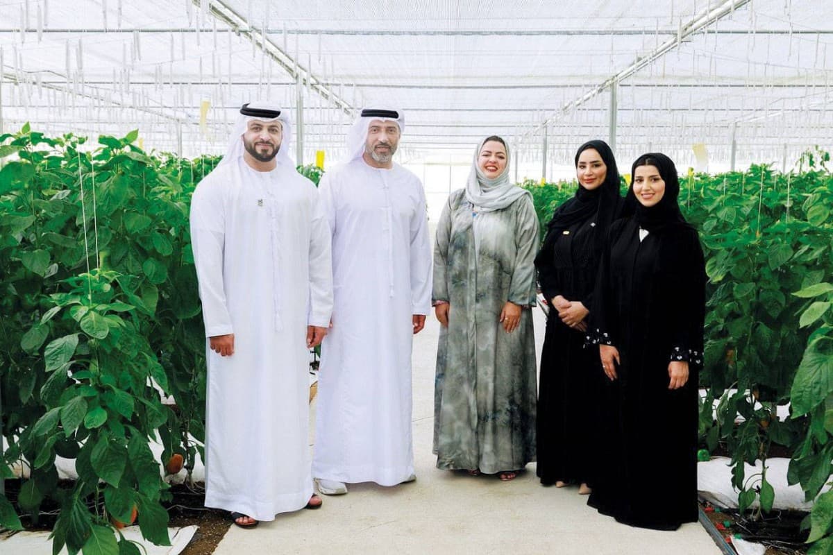 Registration Opens for Sustainability Award