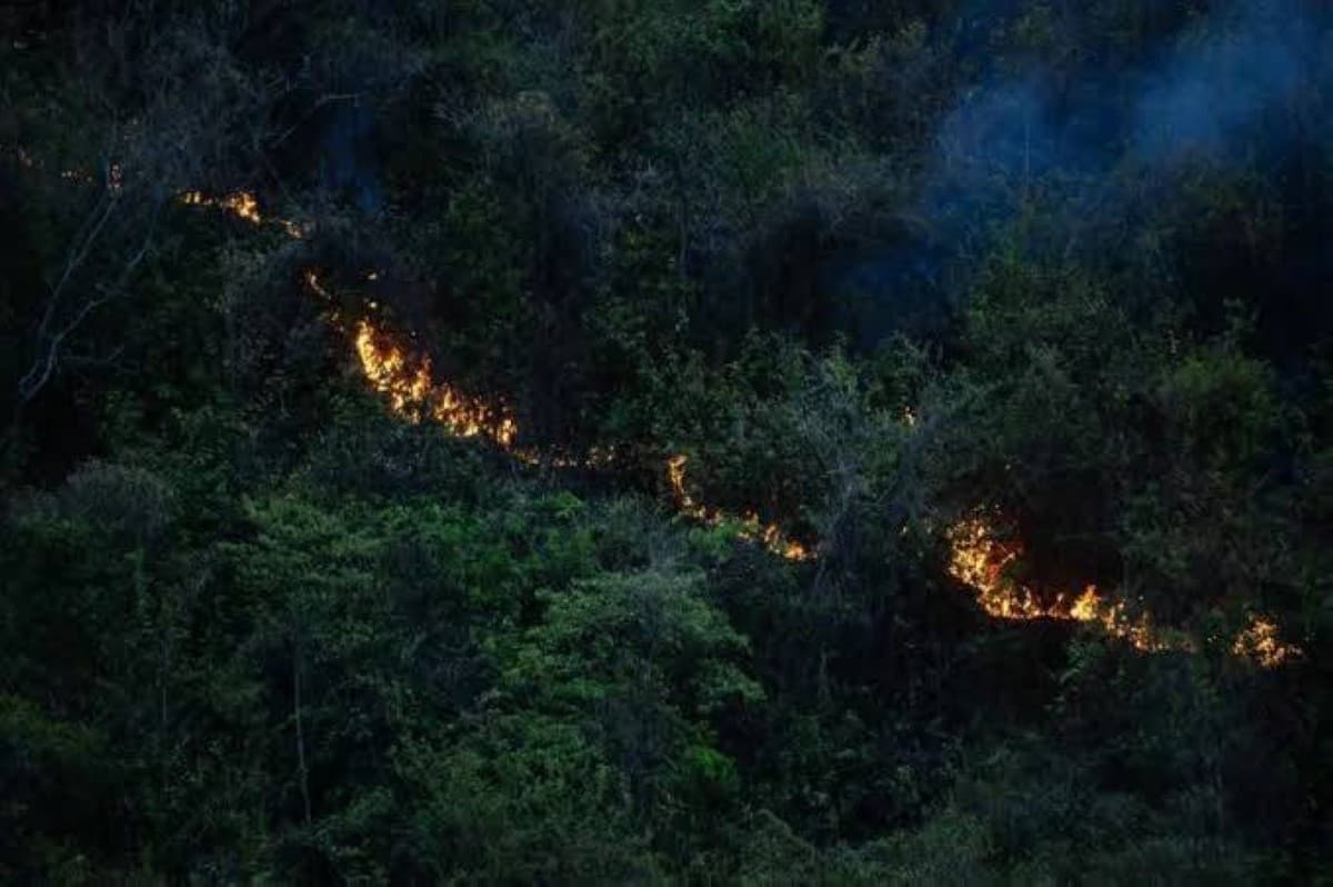 Colombia Battles 18 Forest Fires