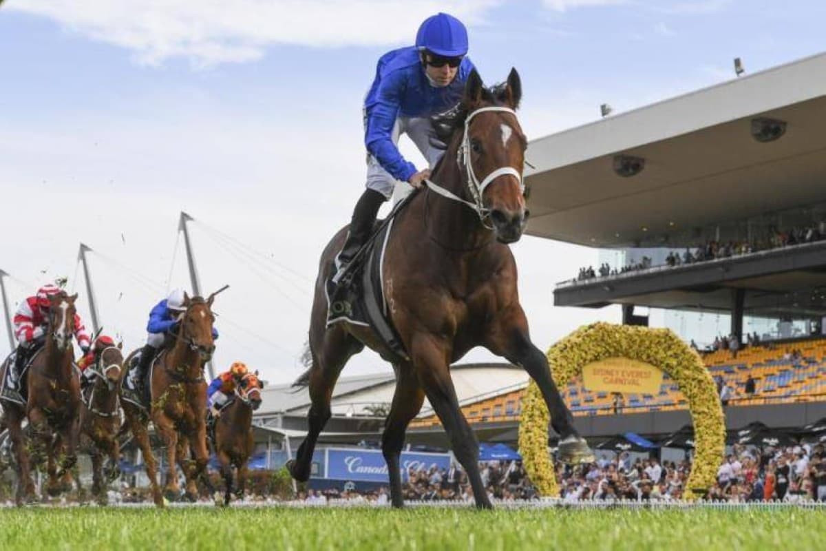 Godolphin Targets Stakes with Bewitched and Tom Kiten