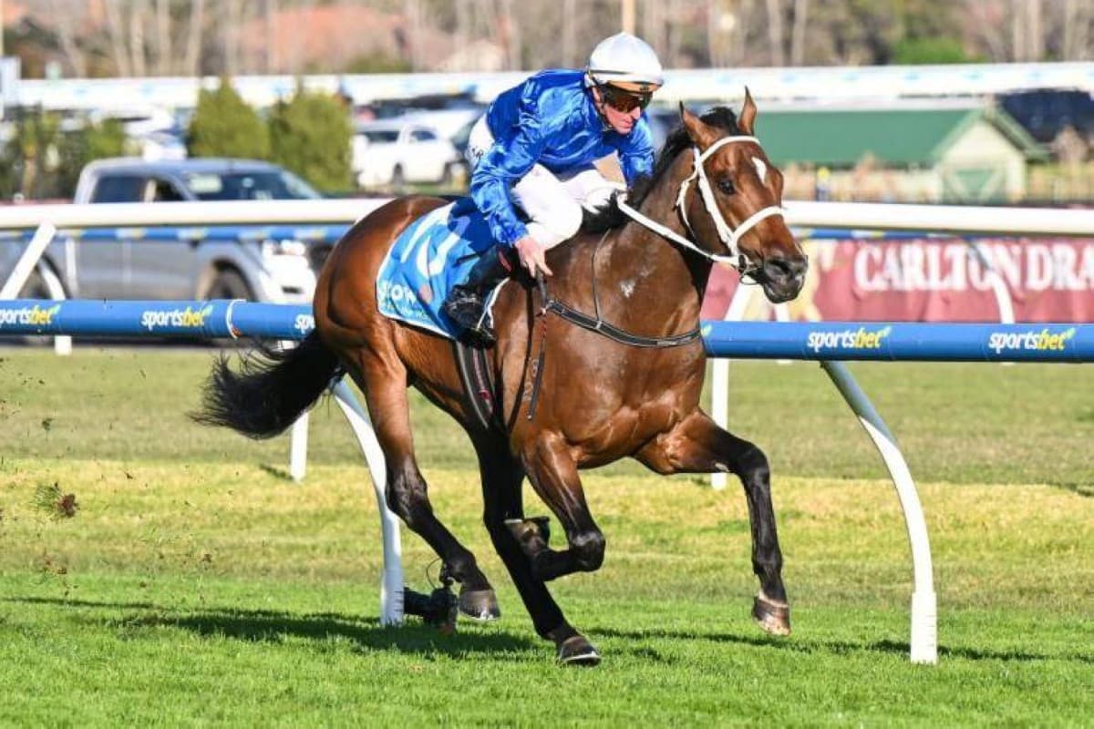 Godolphin's Beauucht earns 2.5M in Australia