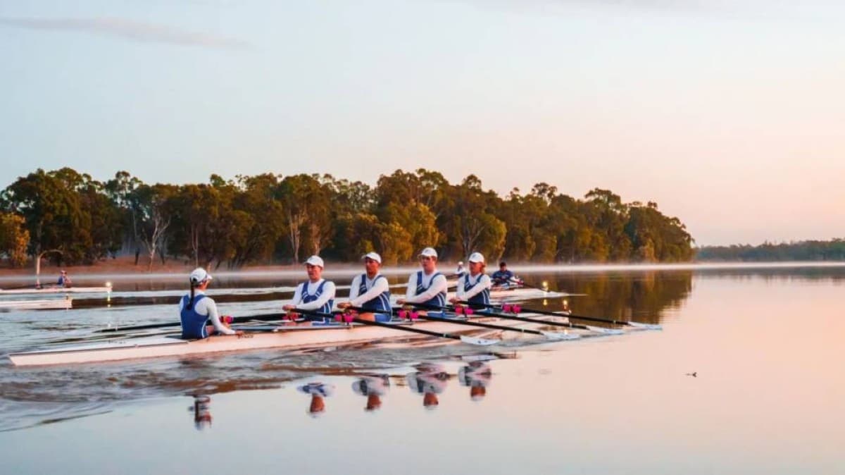 Crocodiles pose threat to Brisbane Olympics rowing