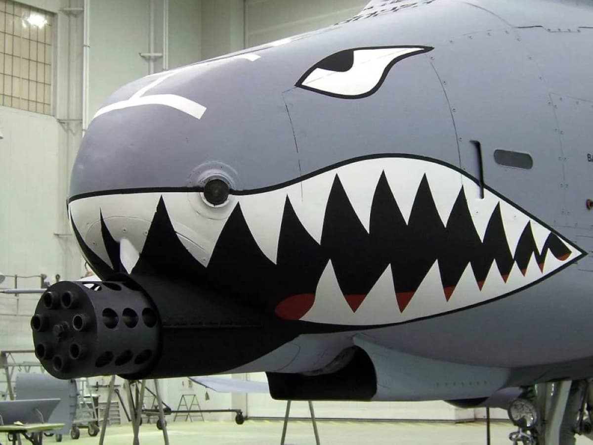 Plane built around a 3900 rpm weapon