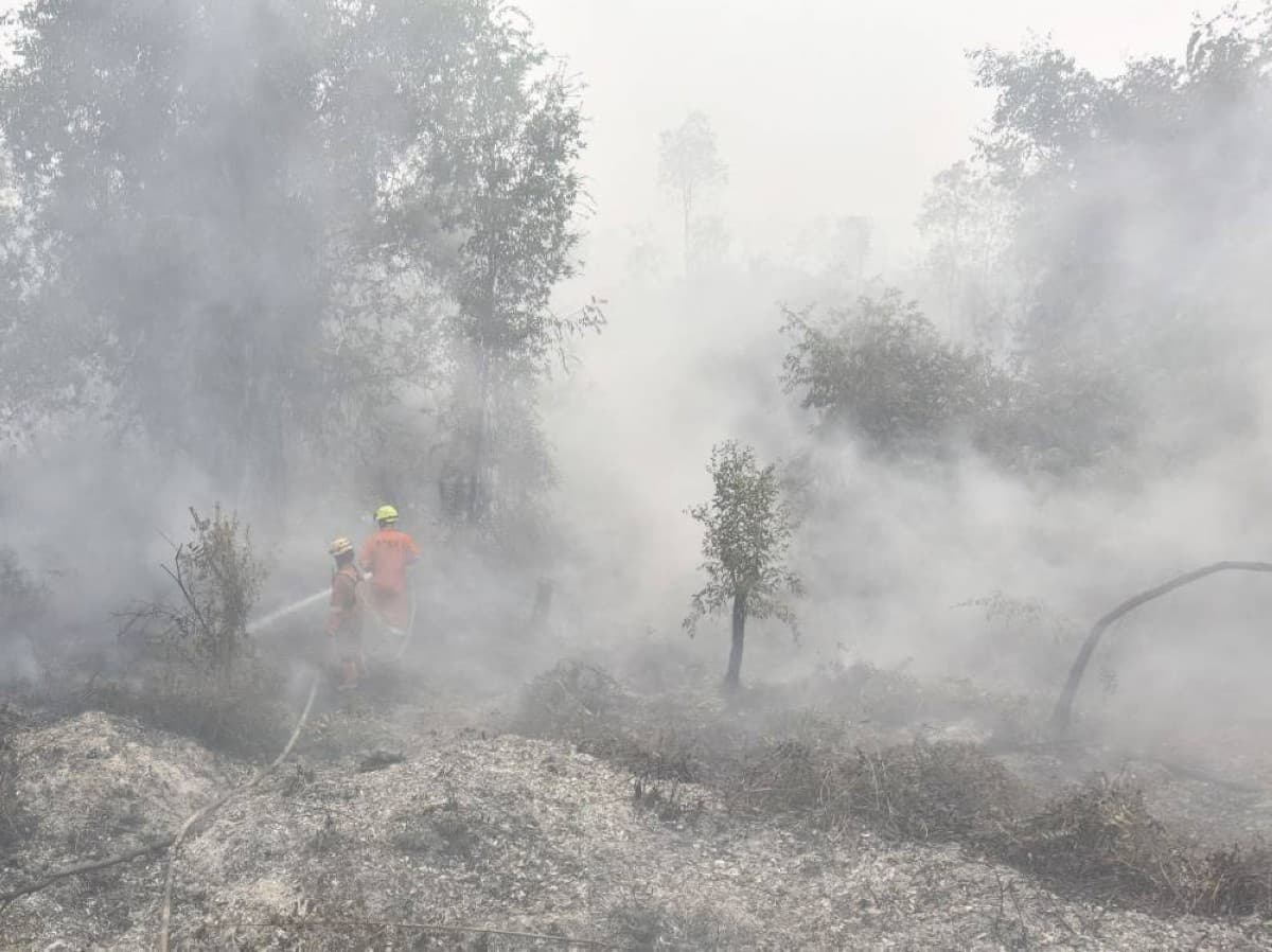 Wildfires affect 409 flights in Indonesia
