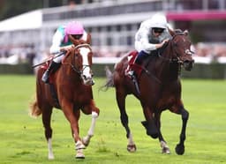 Sports thumbnail