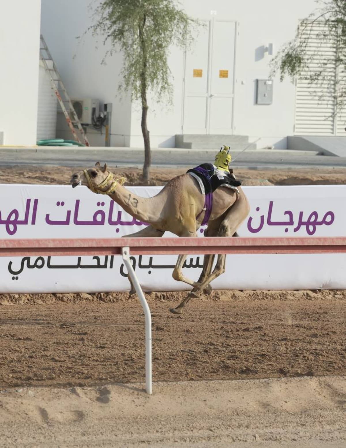 فوز «ثقة» و«نوماس» بكأس الحقايق