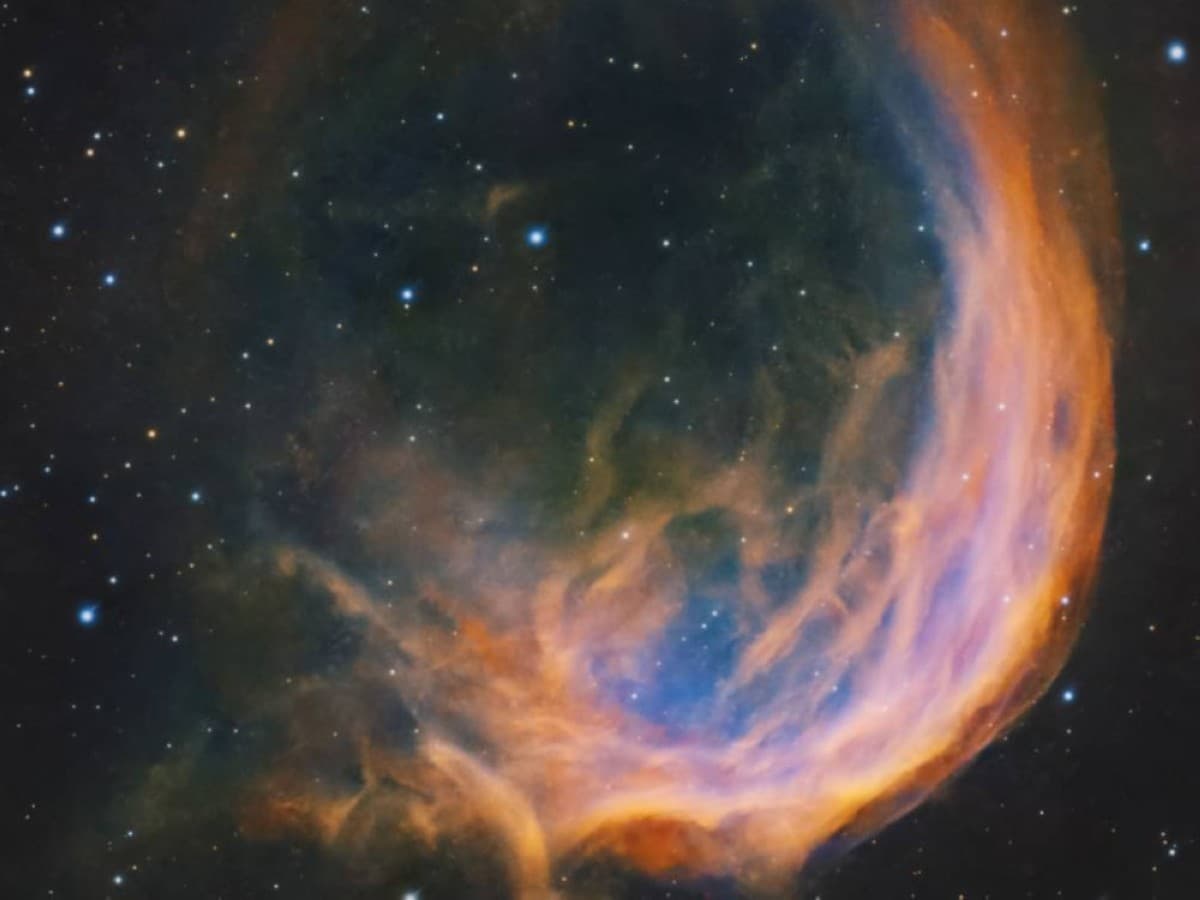 Astronomical Seal Observatory images Fox Fire Nebula