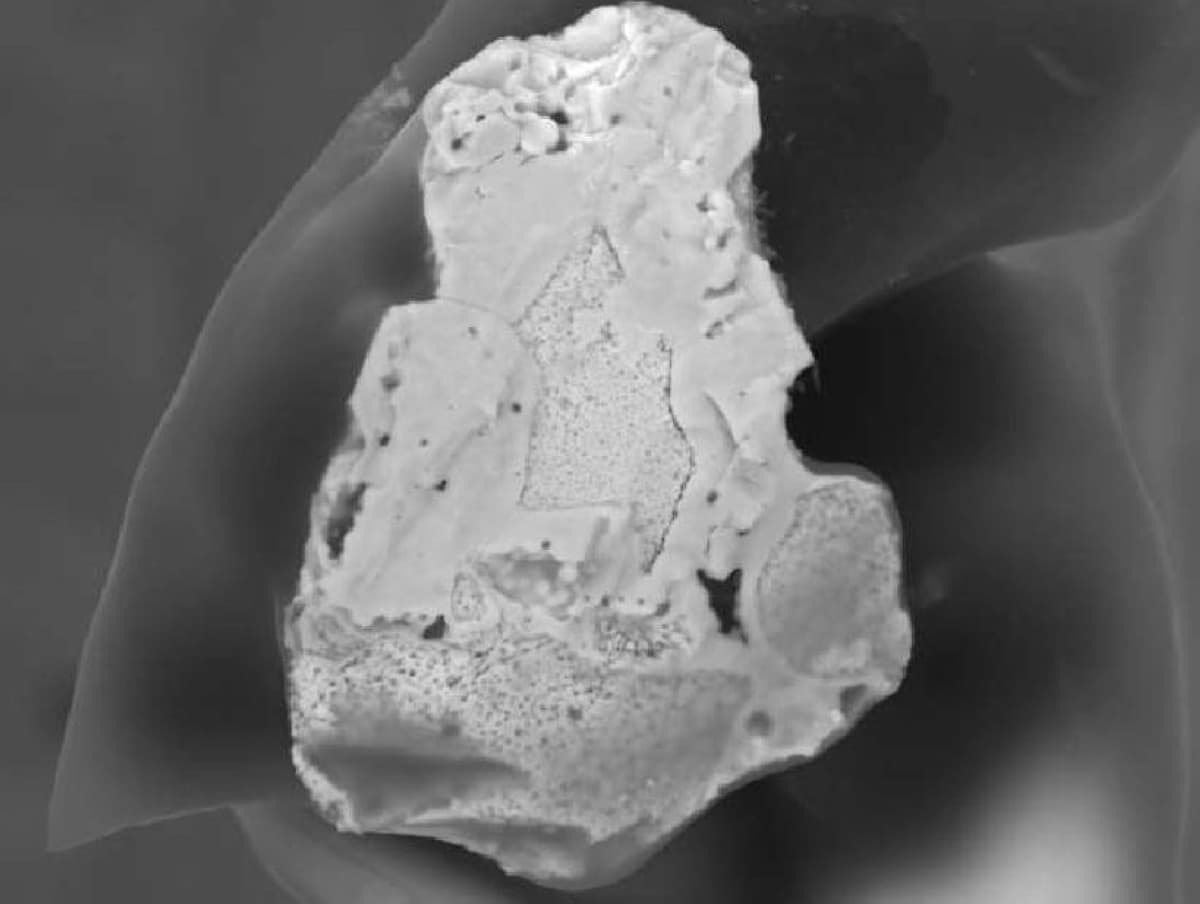 Chornobyl particles remain toxic after 40 years