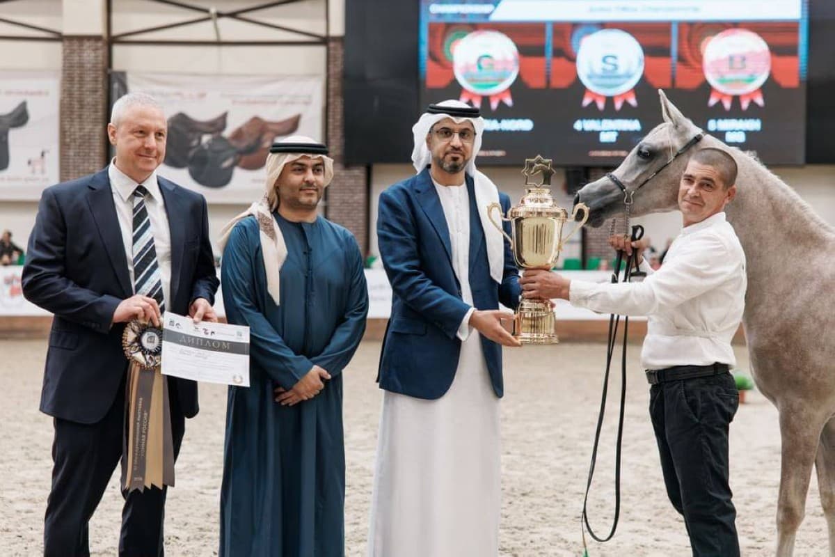 Russian Arabian Horse Championship Concludes