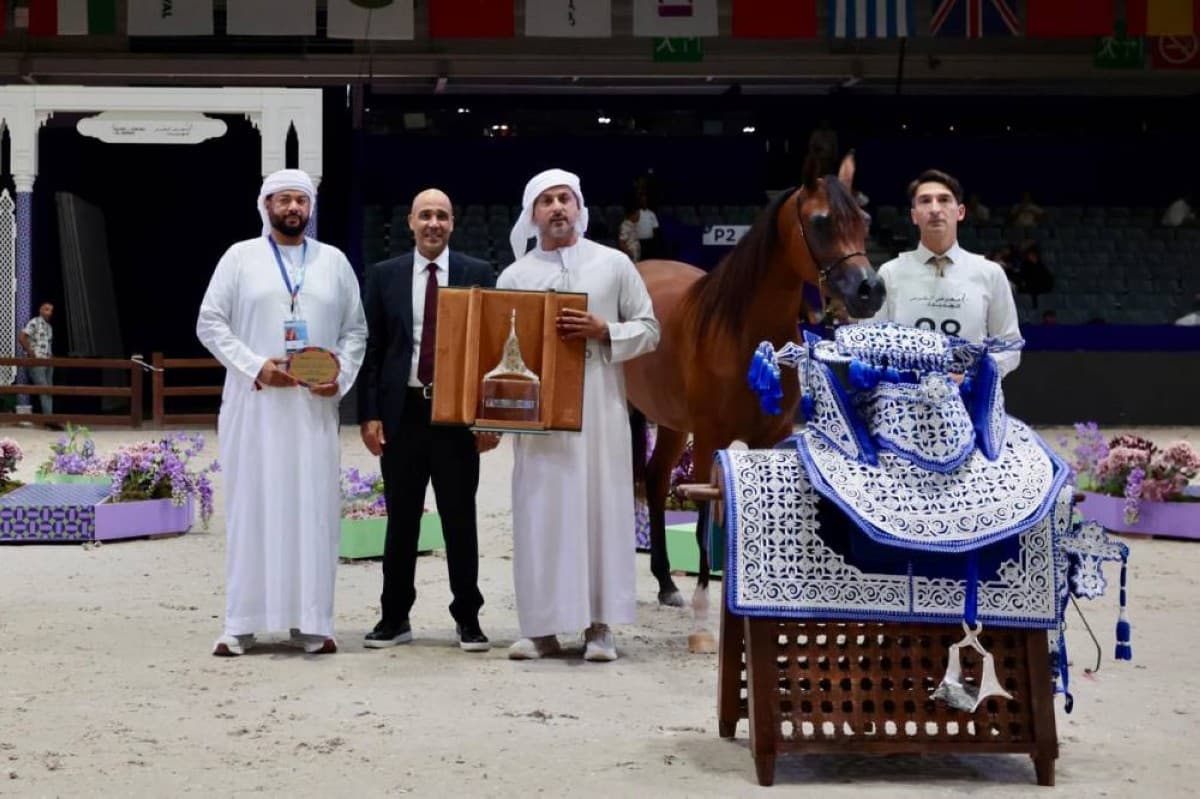 Dubai Stable Achieves Golden Hat-trick at Morocco Carnival