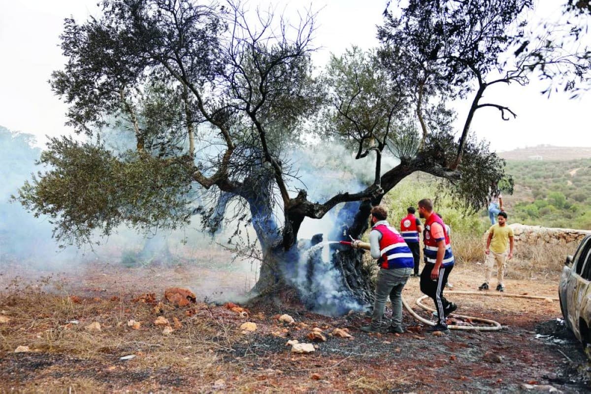 West Bank settlers conflict with olive harvesters