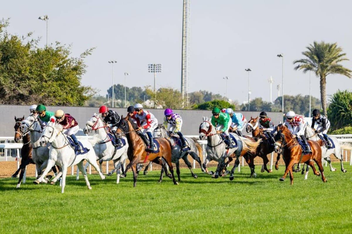 Abu Dhabi Racecourse Launches National Horse Racing Season
