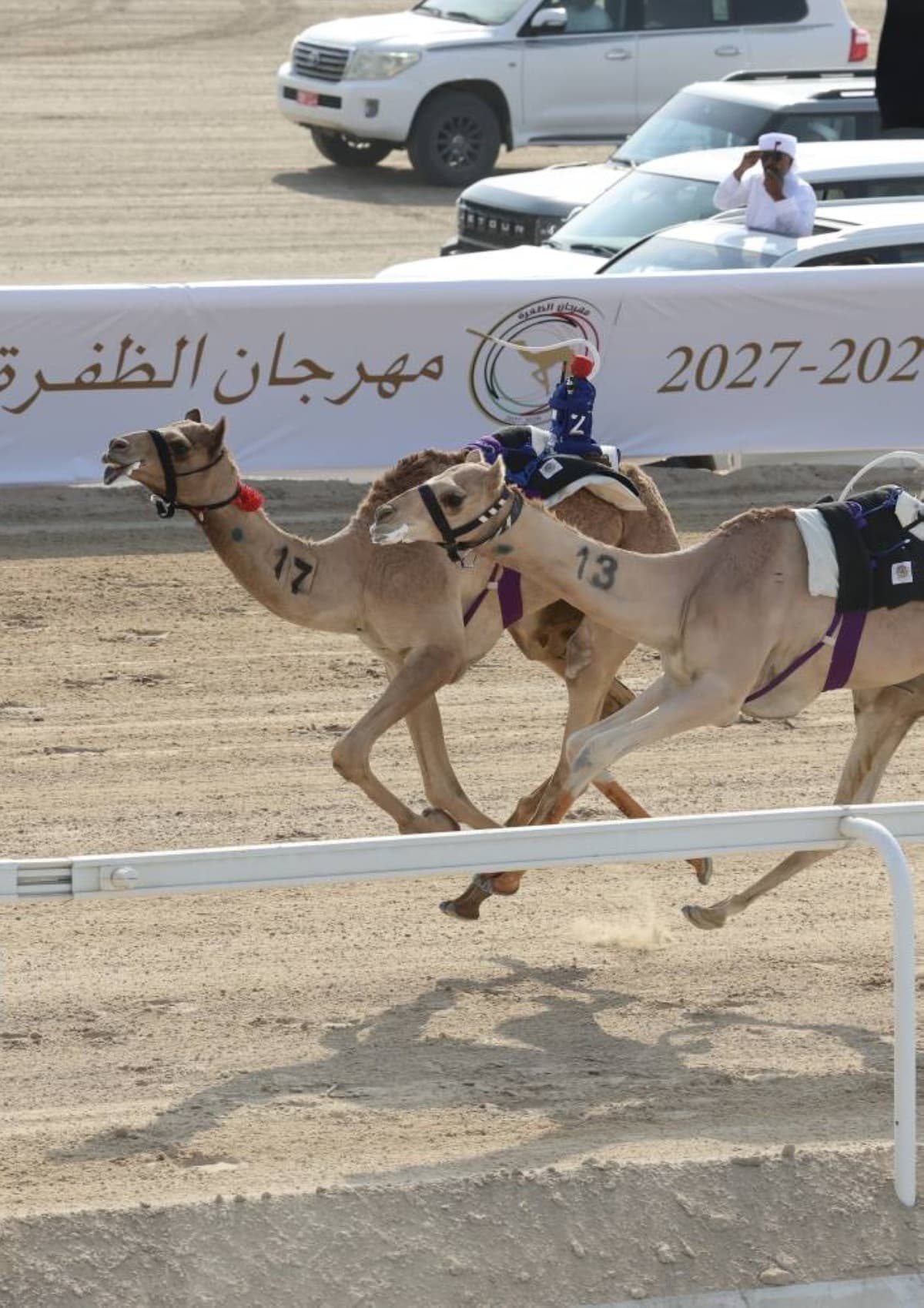 Al Dhafra Camel Race Begins 2026