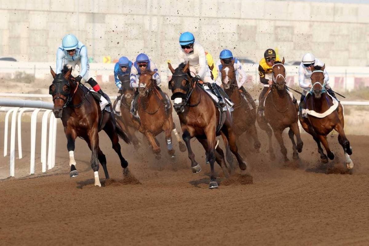 69 Horses Open Jebel Ali