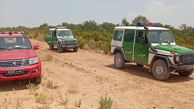 Ain Drahem: Border fire containment efforts