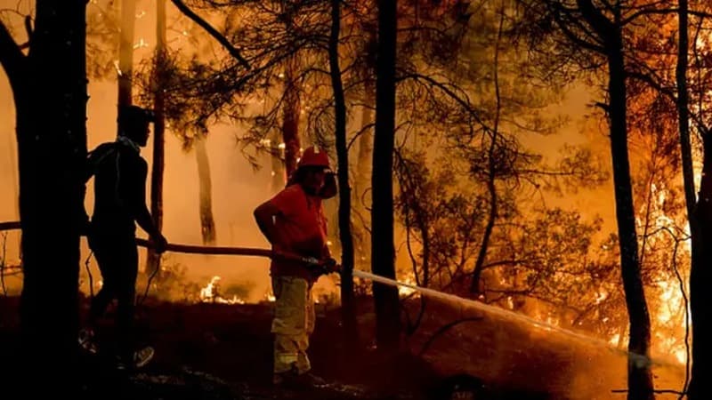 Greece firefighters lose three lives in wildfires