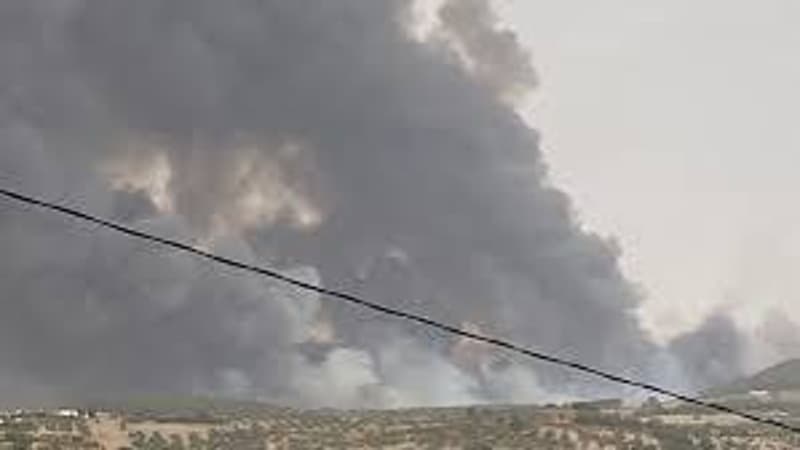 Siliana wildfire re-ignites on Mount Bolman