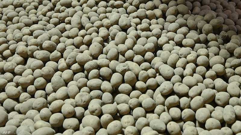 Europe faces heatwave risks to potato crops