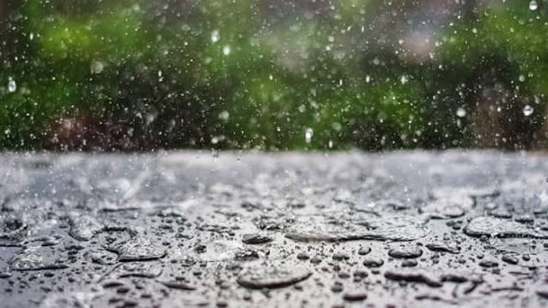 Monitoring Bulletin: Afternoon Heavy Rainfall Expected