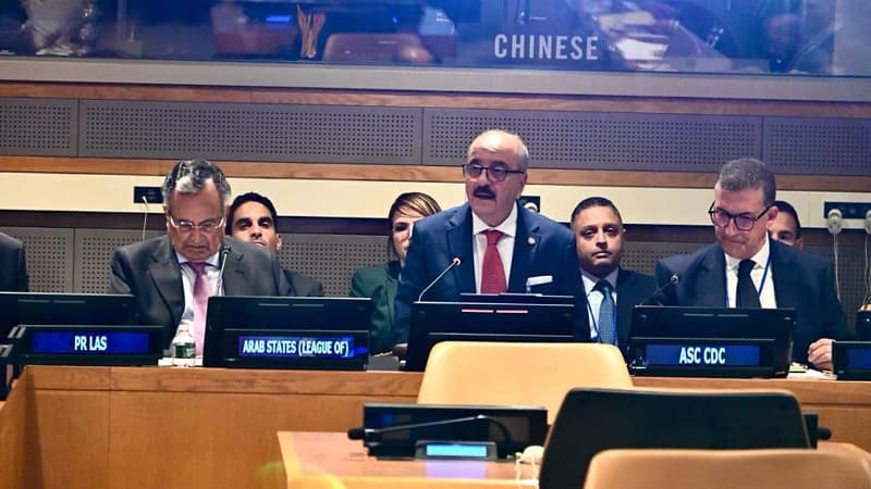Al-Naufi urges Arab unity and action